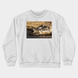 Sea Lions And Seals © Crewneck Sweatshirt